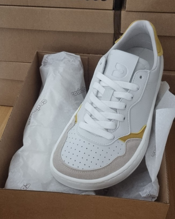 Coqueflex Adulto - 4416 Combi