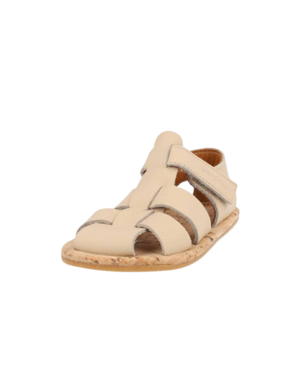 5 Boga Blanditos primi passi